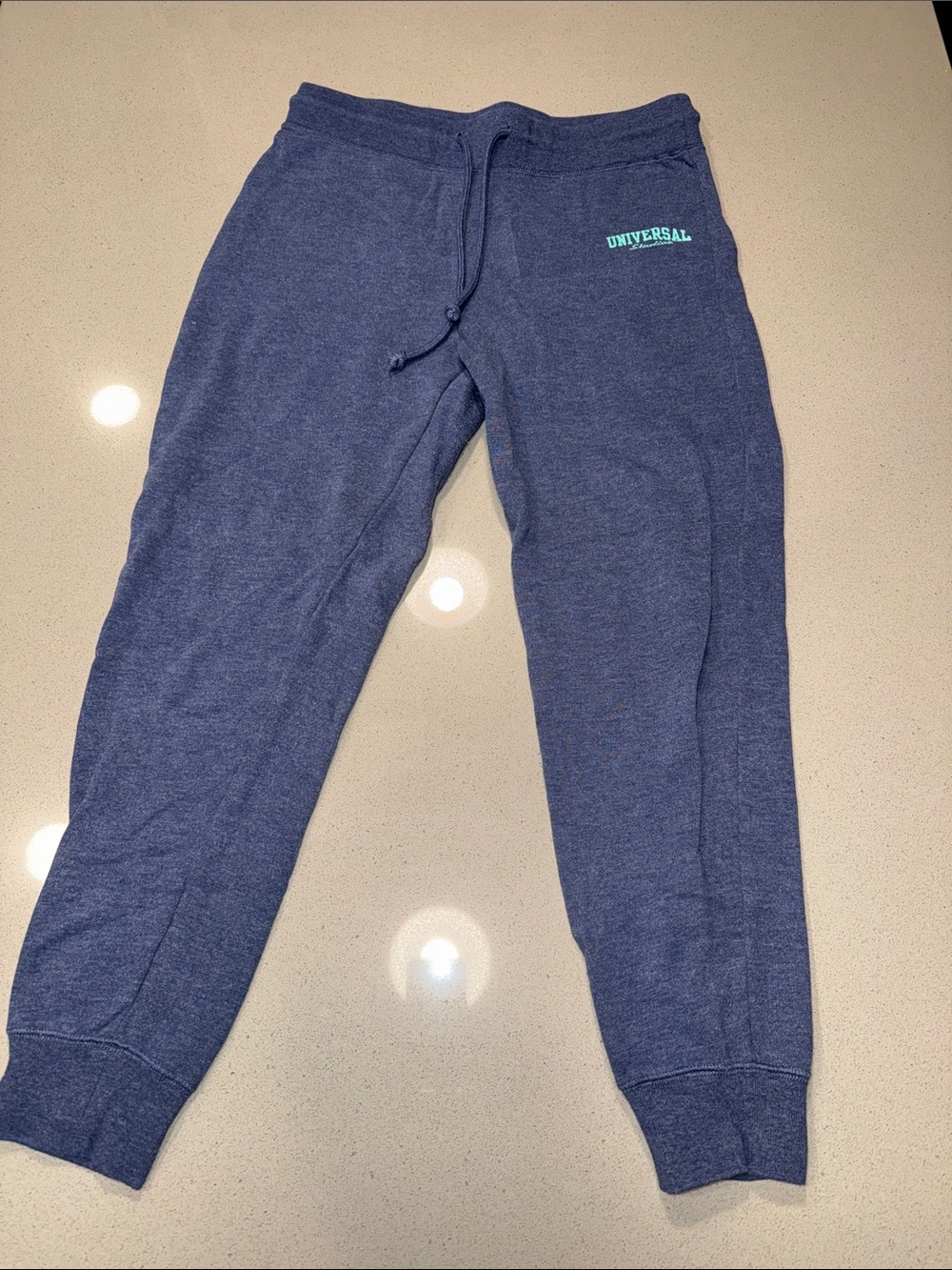 Universal Navy Blue Sweatpants with Mint Logo